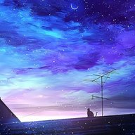 Mercer
