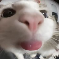 fluffybastard