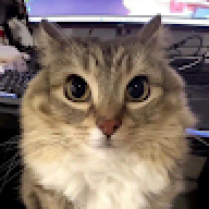 djhfgj7u8