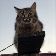 nerayan