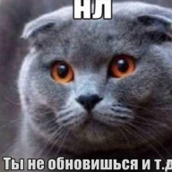 fatolik
