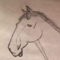 denfry