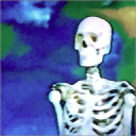 SirNoob2