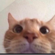 kieraisaweeb