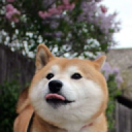 doggiman