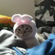 Yakob99