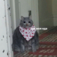 JaBa32