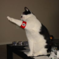 Malik233
