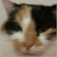 szymusHVH