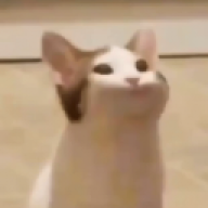Letrixo