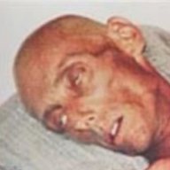 Vossekuil