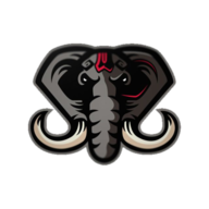 Slonik