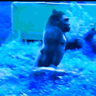 NagyKeKGorilla