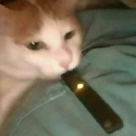FFDr