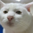 miky01